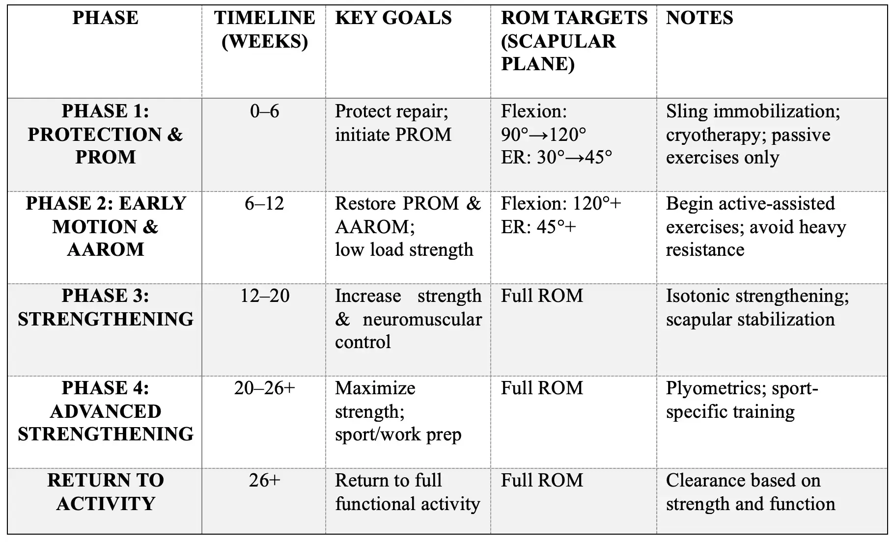 Summary Table of Exercises per Category and Timeline