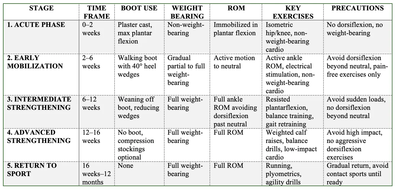 Summary Table of Achilles Tendon Rupture Rehabilitation Stages